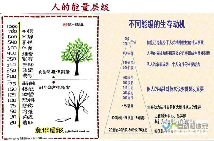从基础到精进：助力企业提升线上形象的网站建设专家