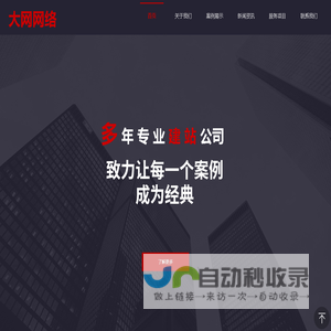 网站建设_网站设计_网页制作_软件编程- 大网网络